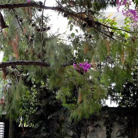 Vacations In * Patras