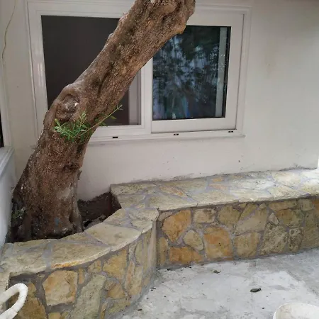 Hostel Vacations In *