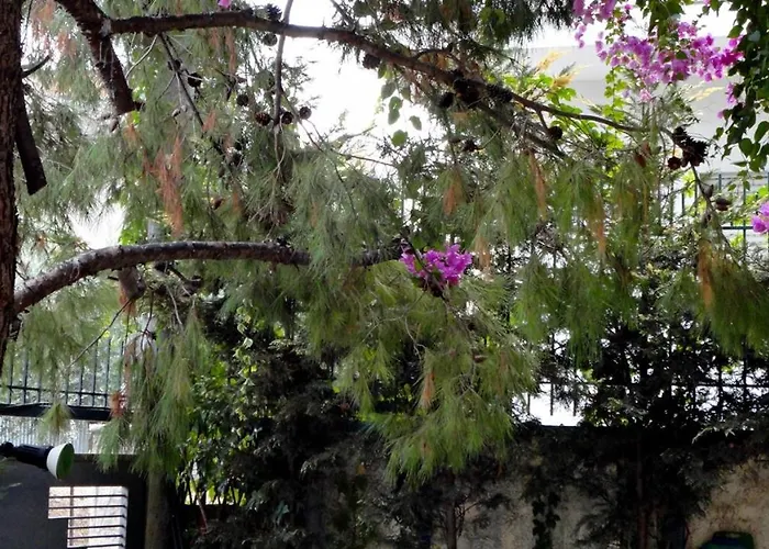 Vacations In * Patras