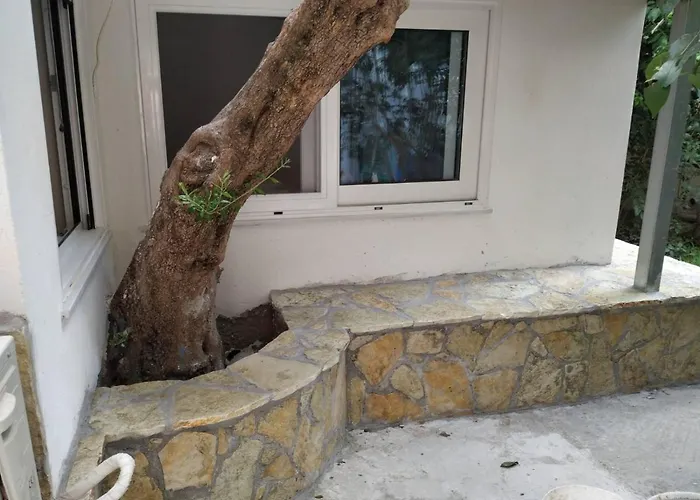 Hostel Vacations In *